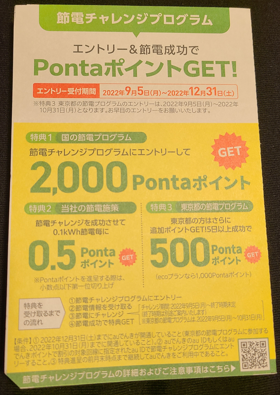 節電チャレンジプログラム エントリー&節電成功でPontaポイントGET!