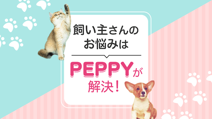 f-449※5/Doctor's Advice PEPPY ドクターズアドバイス/ペピィ/1998年4月/犬や猫と長く暮らすために/子犬の一年、子猫の一年