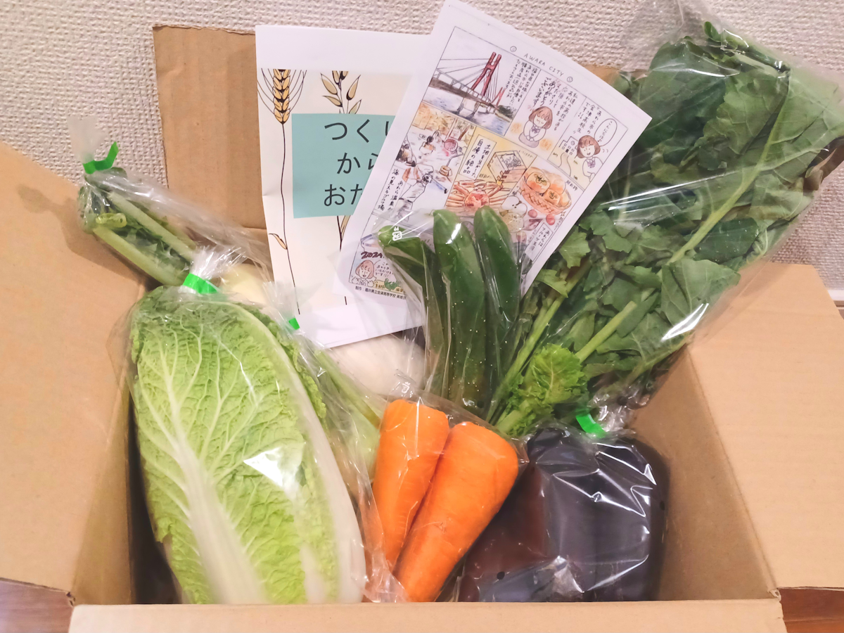 写真：実際に届いた野菜の返礼品